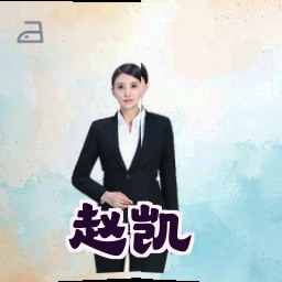赵凯